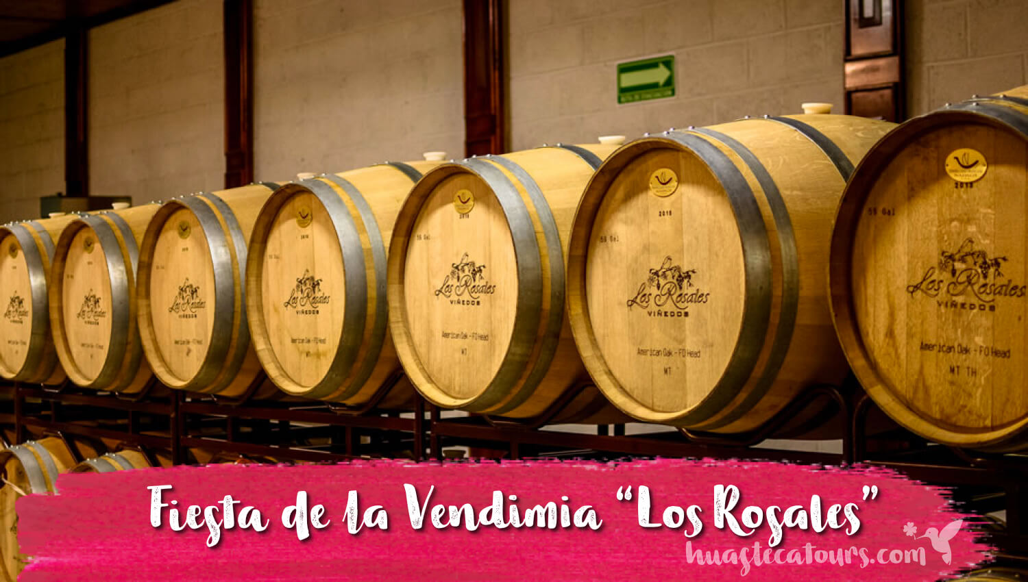 Fiesta de la Vendimia Viñedo los Rosales