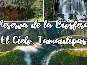 Reserva de la biósfera El Cielo, 4 días