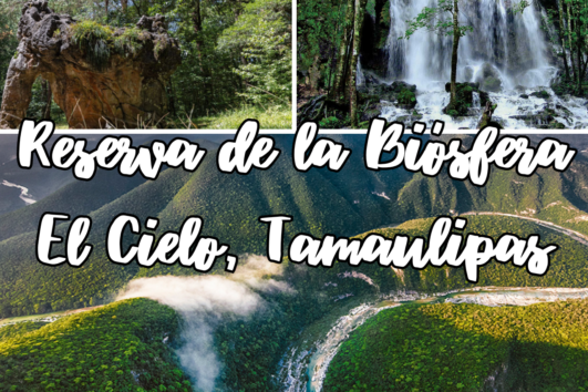 Reserva de la biósfera El Cielo, 4 días