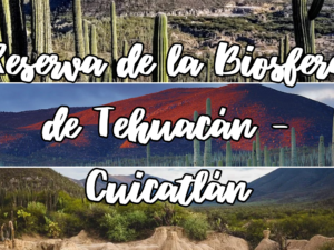 Reserva de la biósfera de Tehuacán - Cuicatlán, 2 días