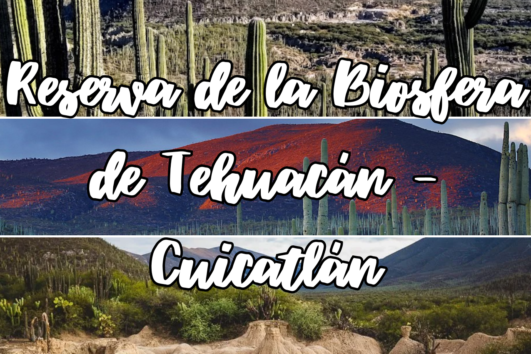 Reserva de la biósfera de Tehuacán - Cuicatlán, 2 días
