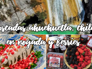 Cascadas ahuehuetla, Chiles en nogada y berries , 2 días